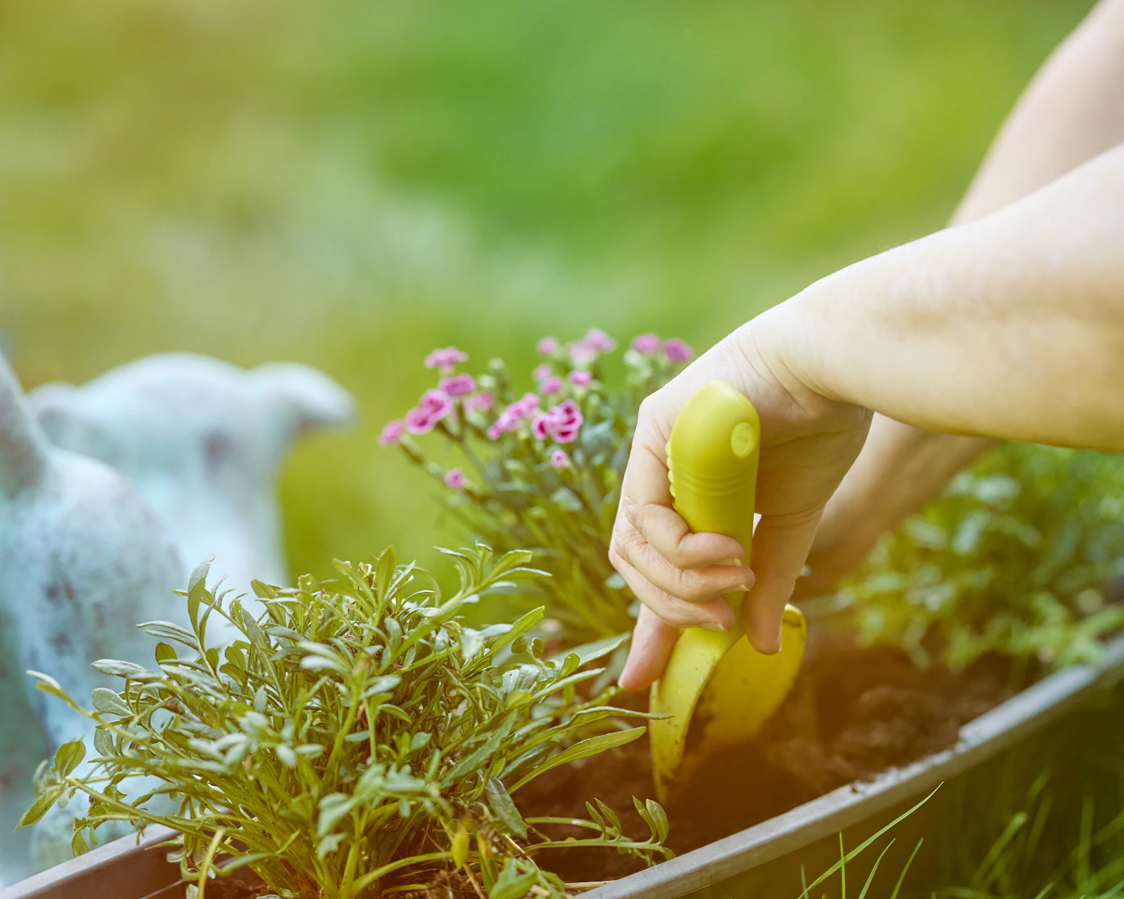 Hands using a trowel to plant flowers among garden greenery. Unsplash sample photo.