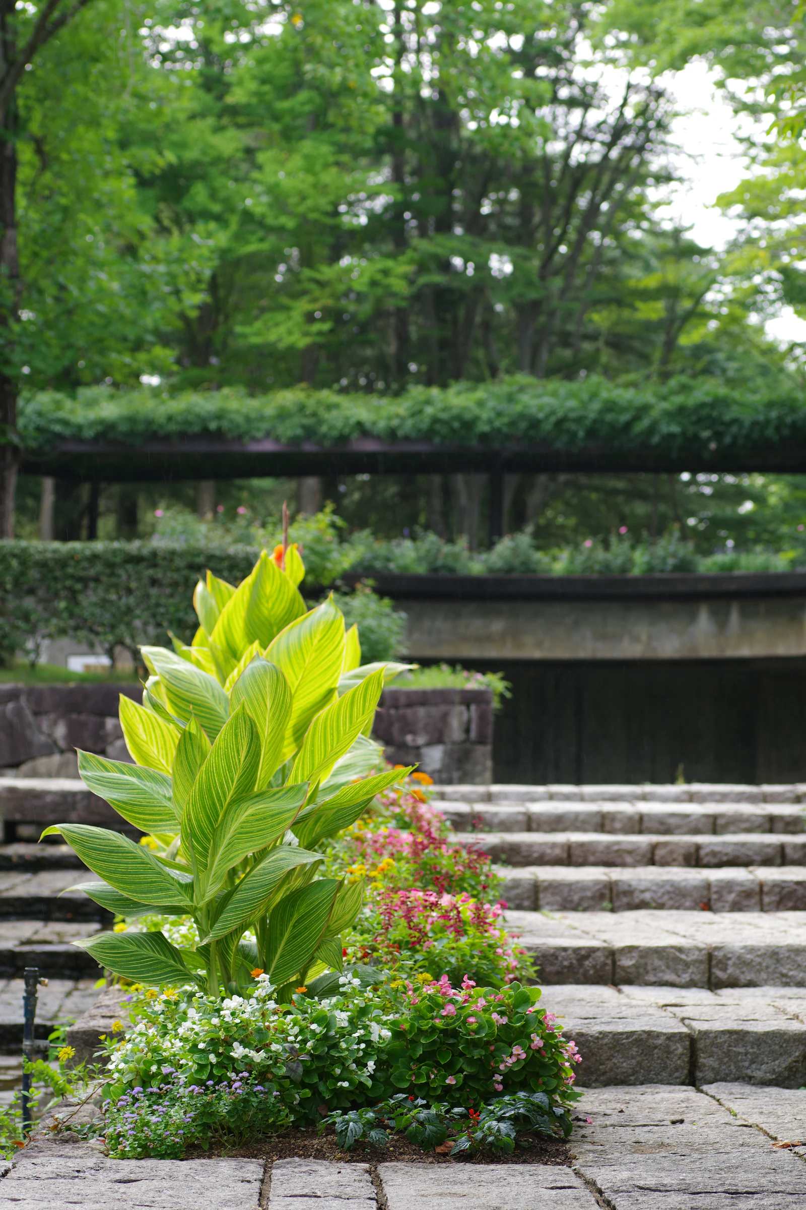 Stone paving and steps beside lush garden planting. Unsplash sample photo.