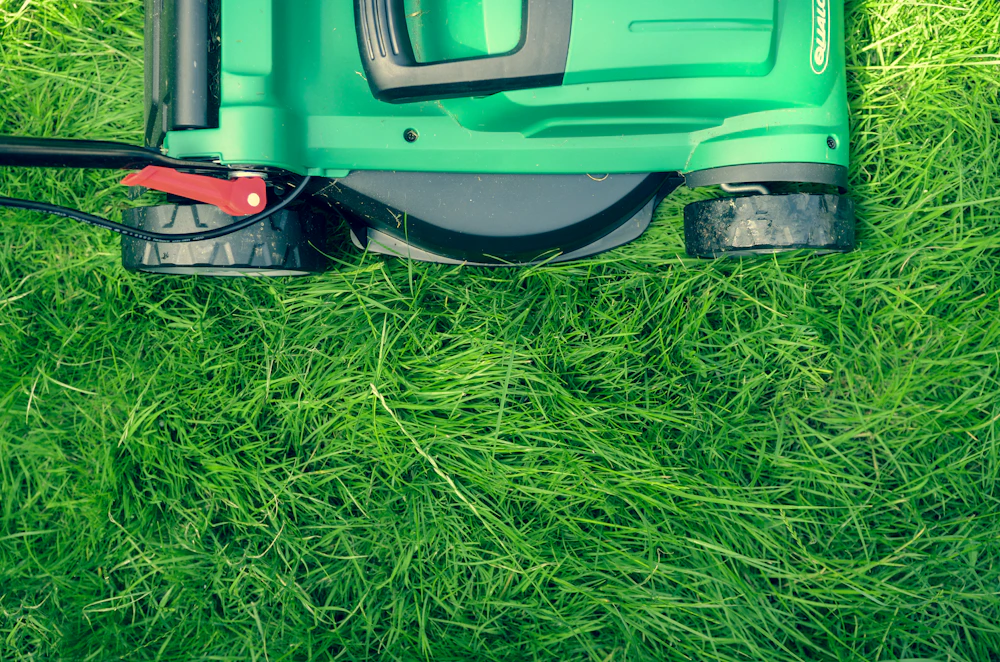 A lawn mower cutting green grass in a yard. Unsplash sample photo.