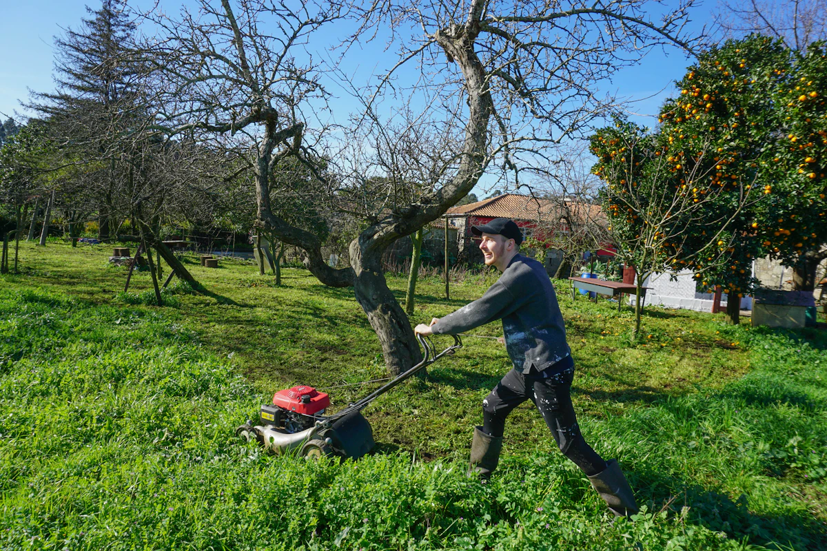 A person pushing a lawn mower through a yard with mature trees. Unsplash sample photo.