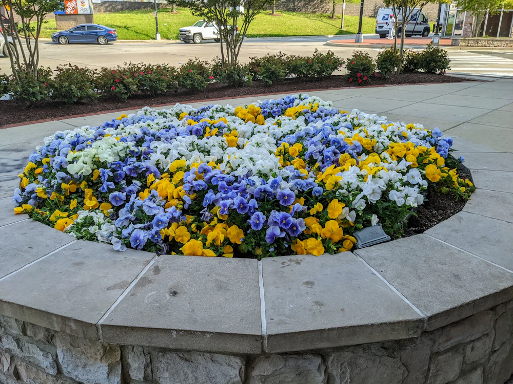 A low stone retaining wall surrounding a raised bed of colorful flowers. Unsplash sample photo.