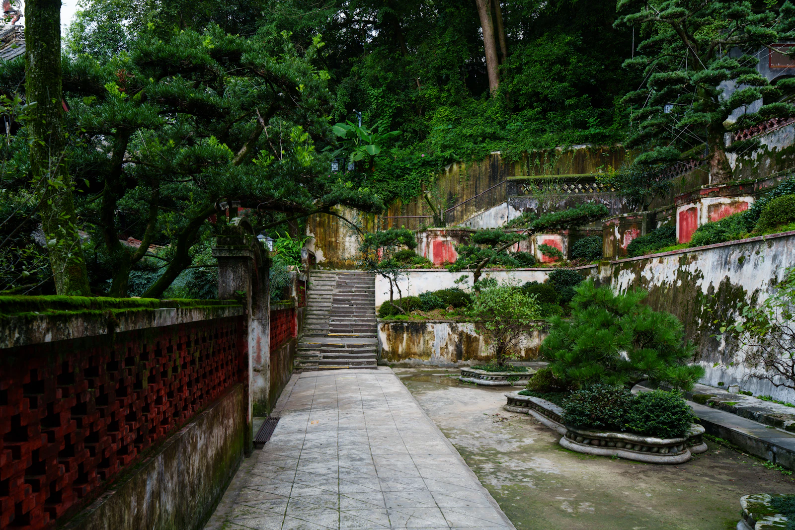 A stone walkway and steps between terraced garden beds. Unsplash sample photo.